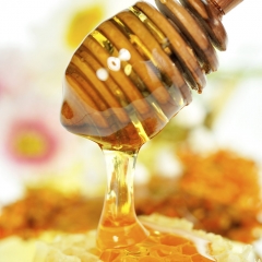 chaste fournisseur de miel