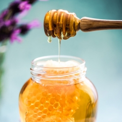 miel d'acacia naturel