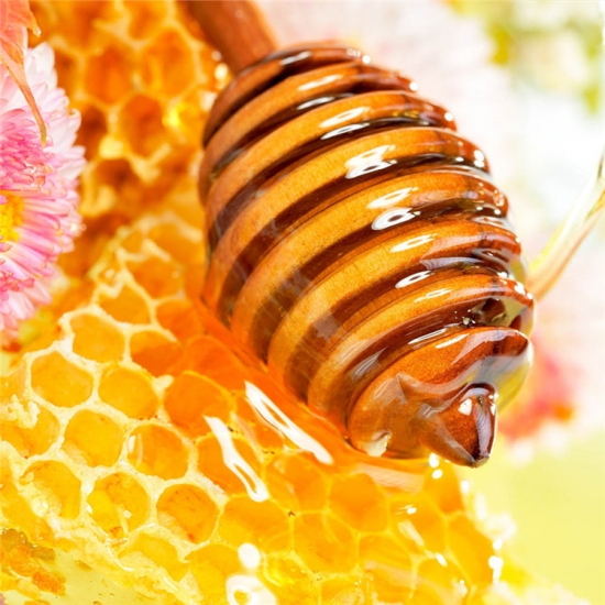 miel de colza abeille oem 100% pur naturel 